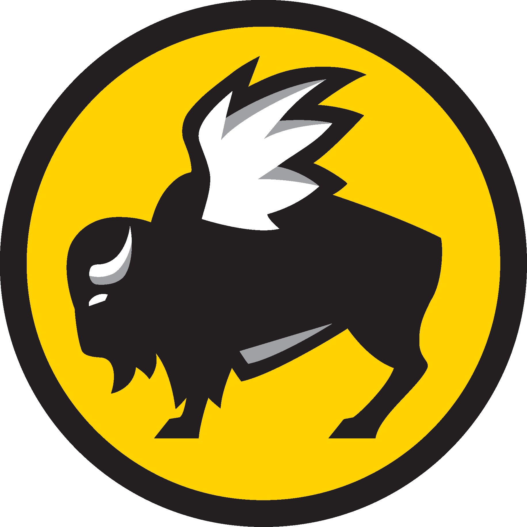 Buffalo Wild Wings Logo png