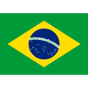 Brazil Flag [Brazilian]