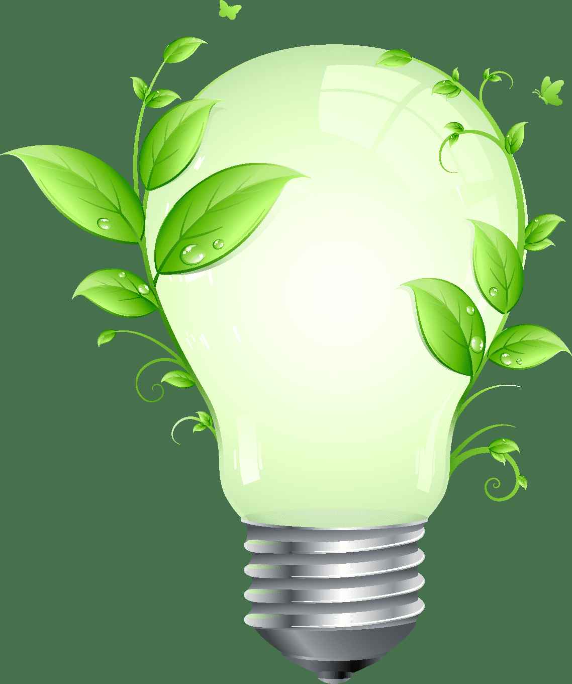Green Leaf and Energy Saving Lamp Vector png