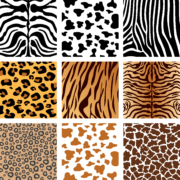 Animal Skin Textures 03