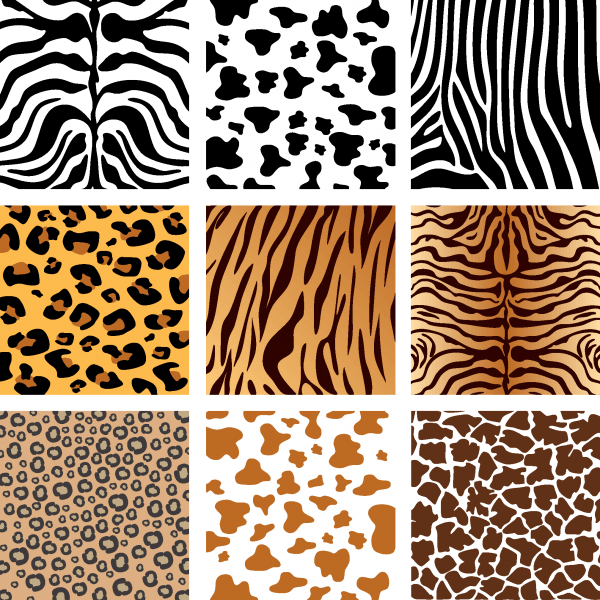 Animal Skin Textures 03 png