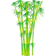 Bamboo and Grass Plant Vector 02