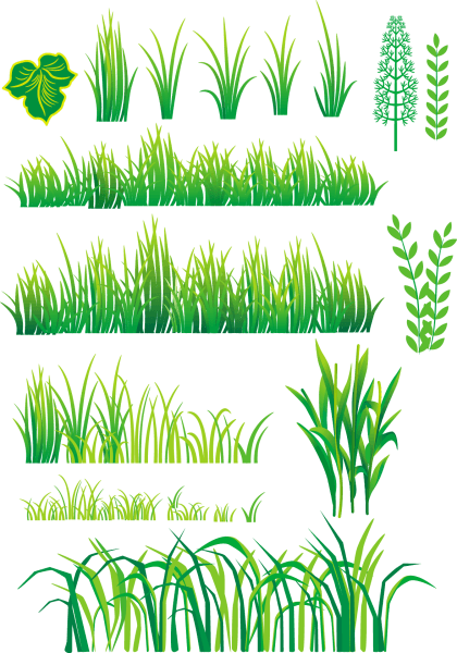Bamboo and Grass Plant Vector 04 png
