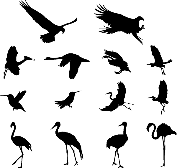 Various Birds Silhouettes 01 png