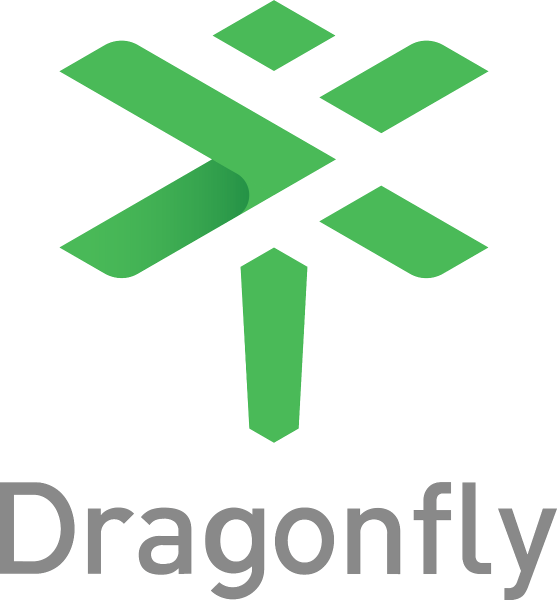 Dragonfly Logo png