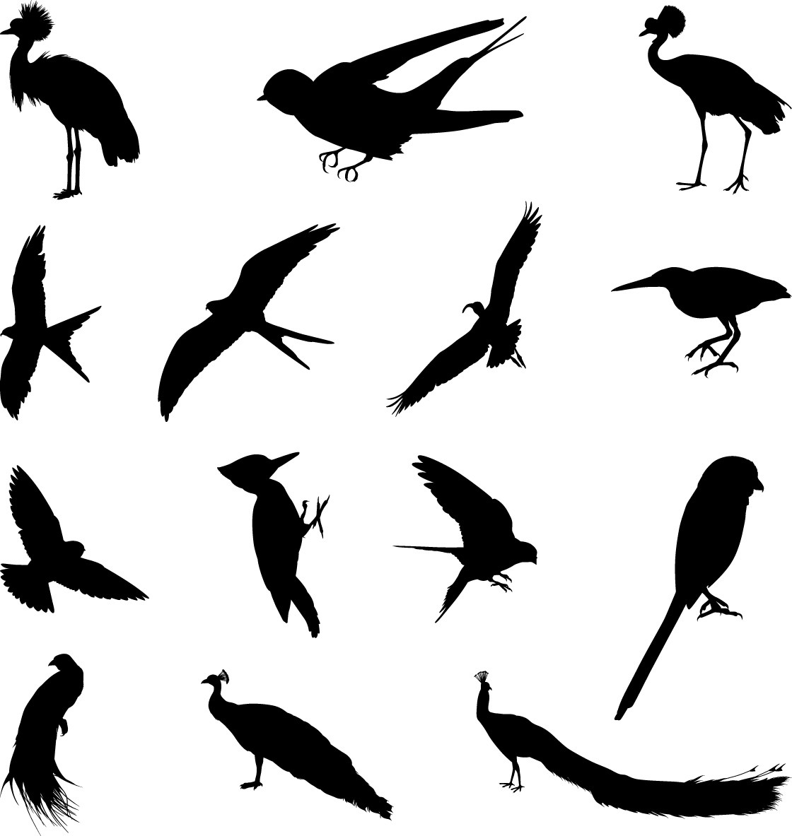 Various birds silhouettes set png