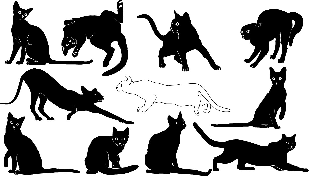 Cats silhouette png