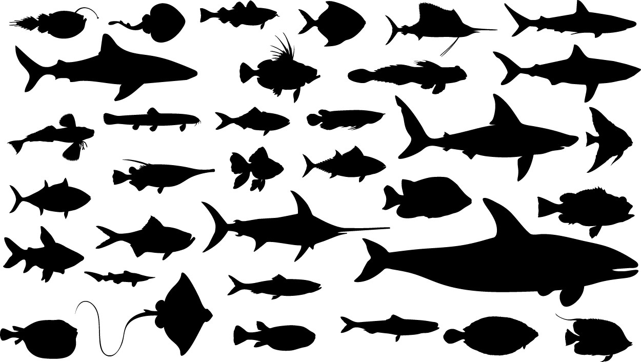 Fish silhouettes png