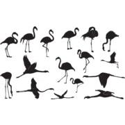 Flamingo silhouettes