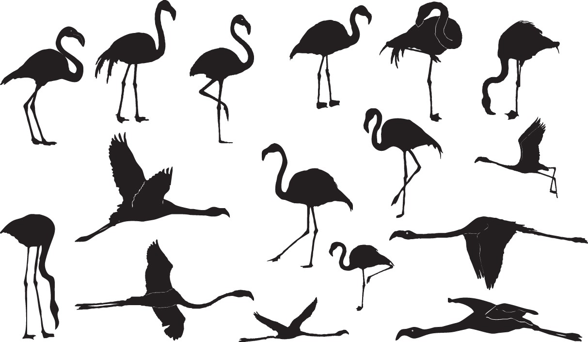 Flamingo silhouettes png