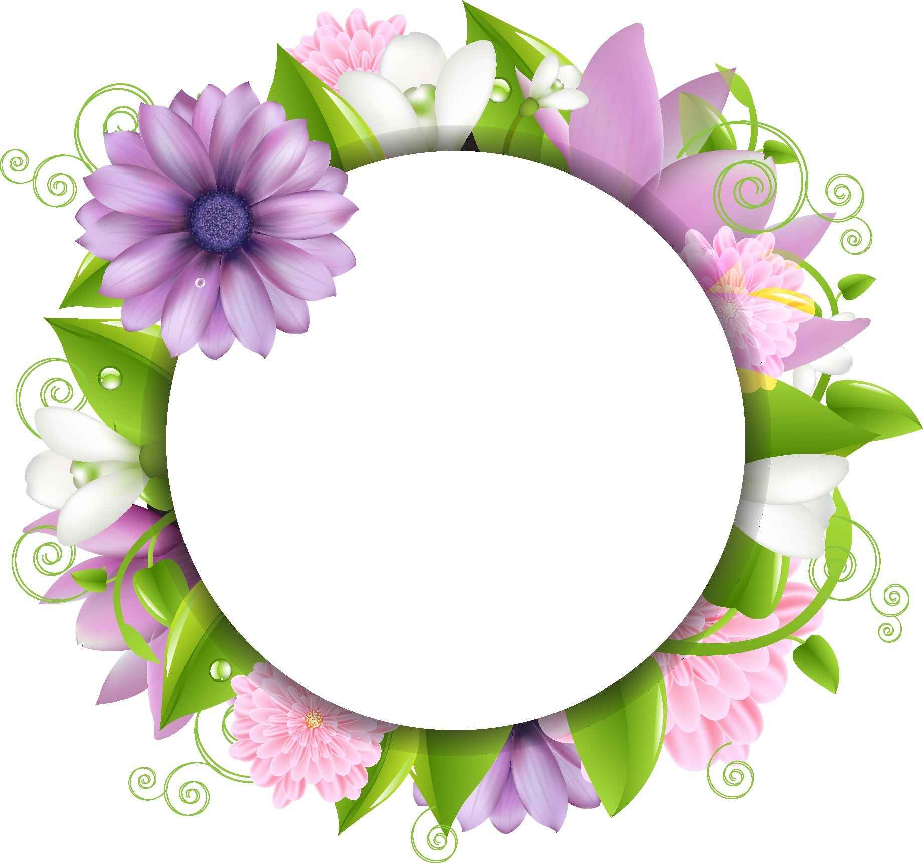 Flowers Border png