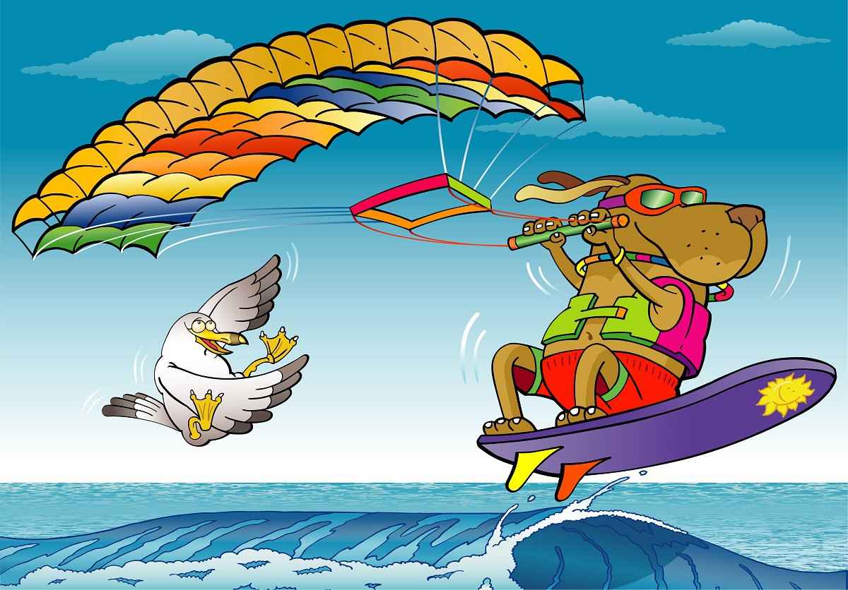 Kite Surf png