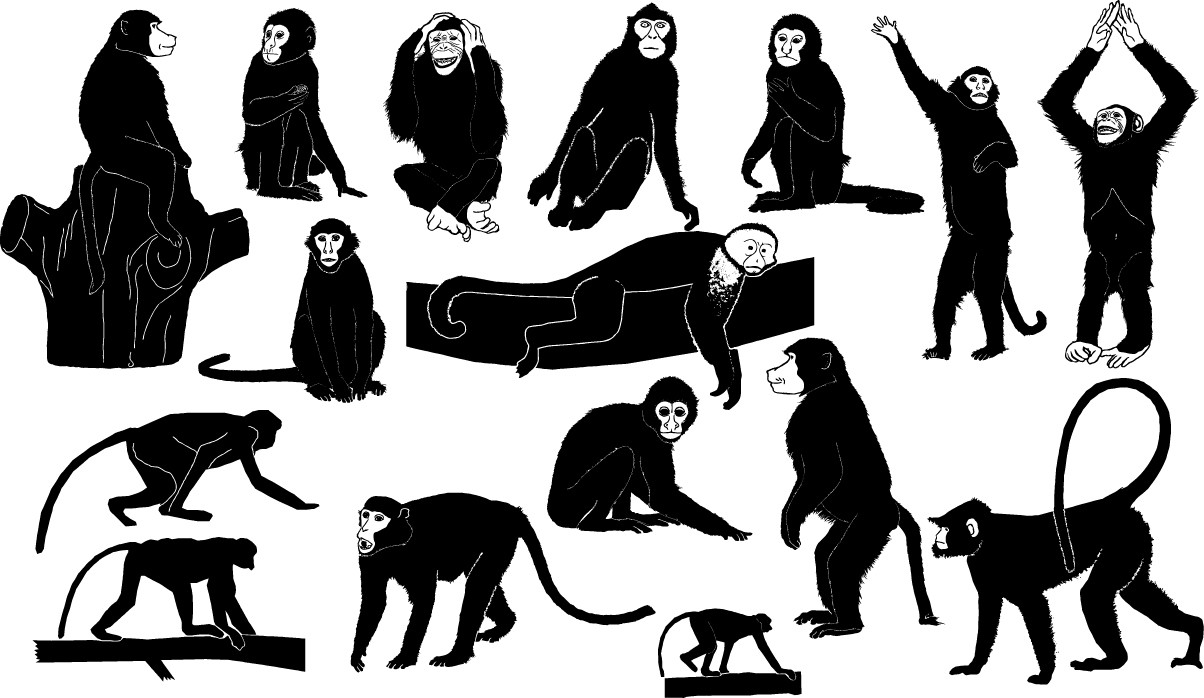 Monkey silhouettes Download Vector