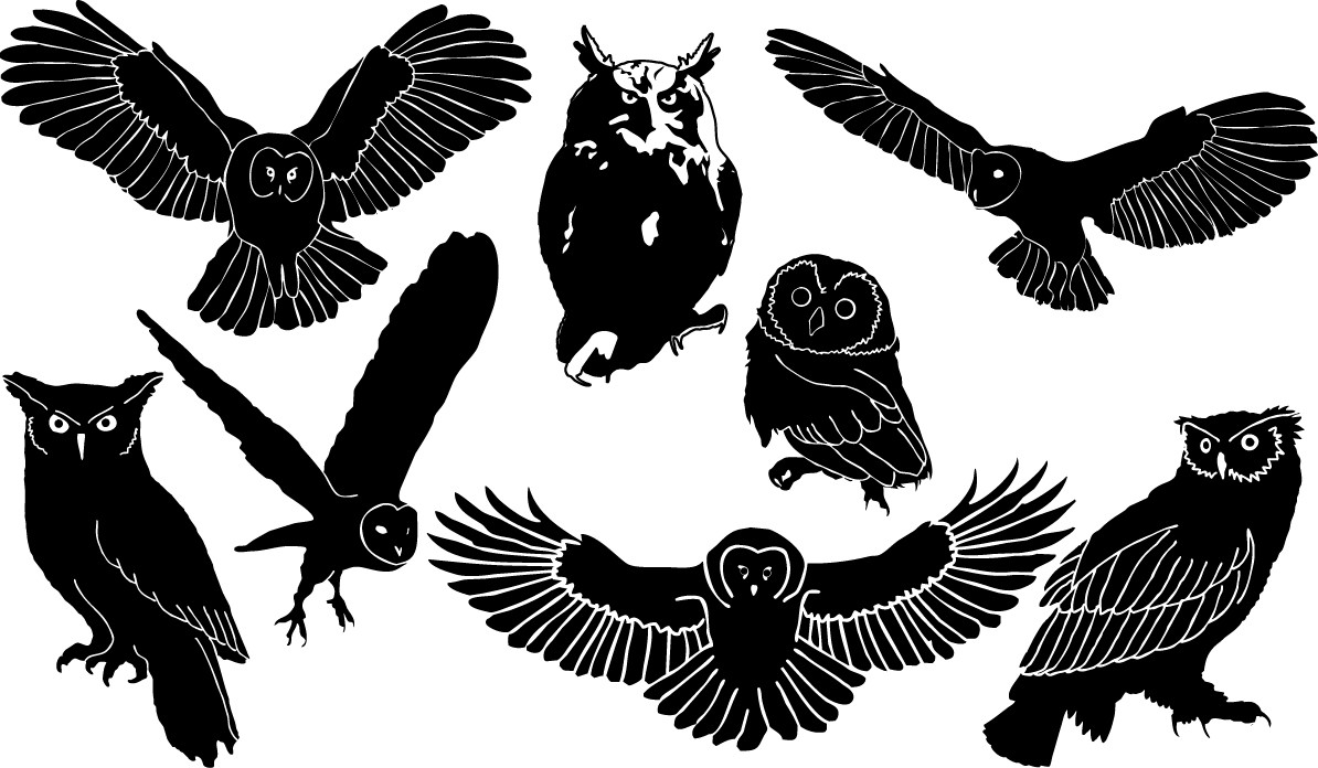 Owl silhouette png