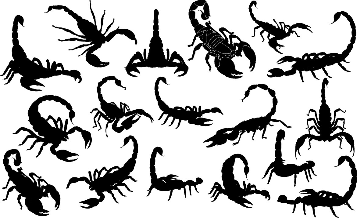 Scorpion silhouettes png