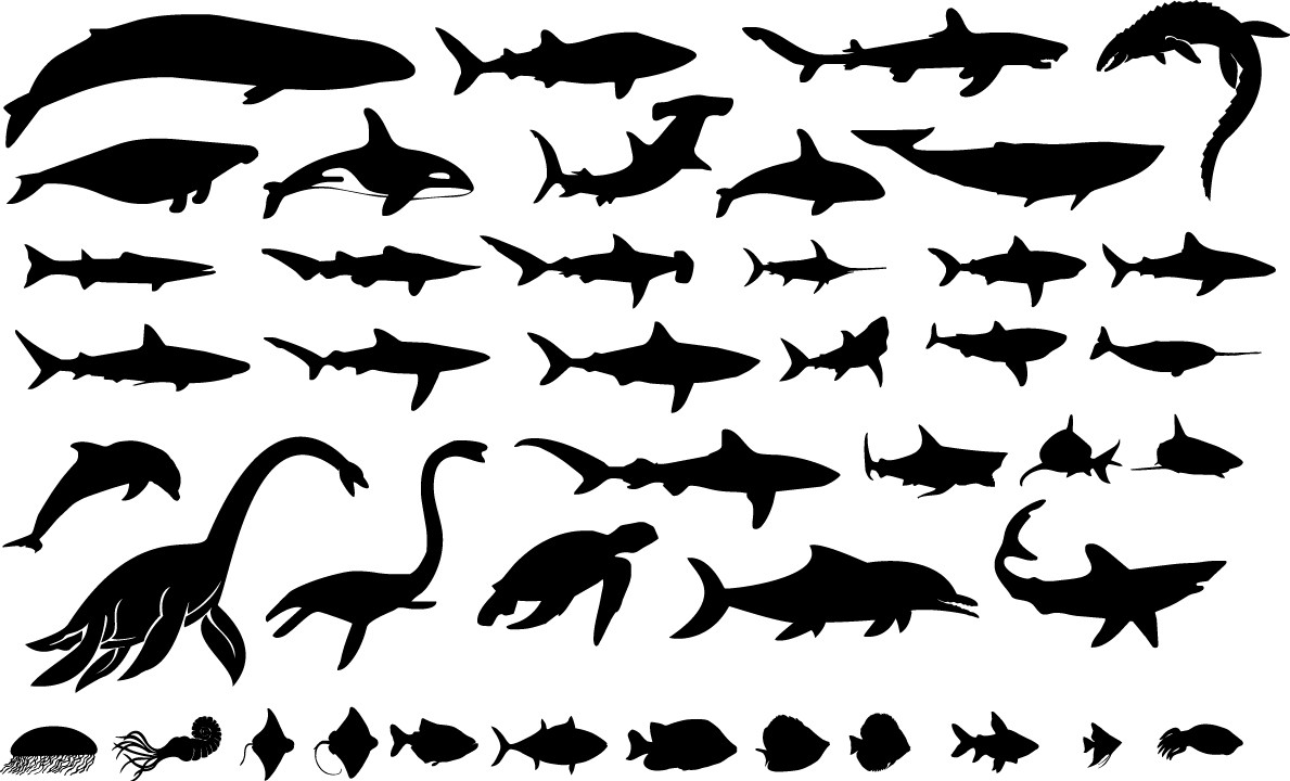 Sea giants silhouettes png