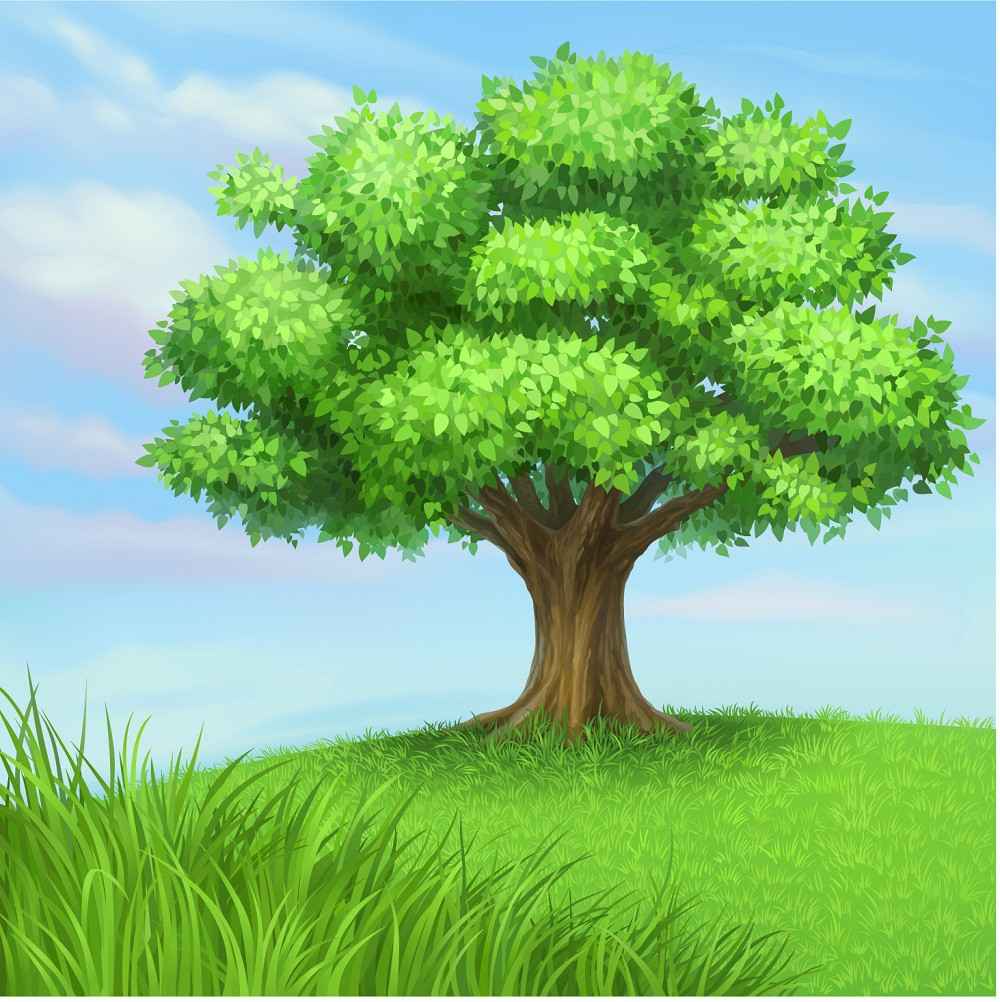 Tree png