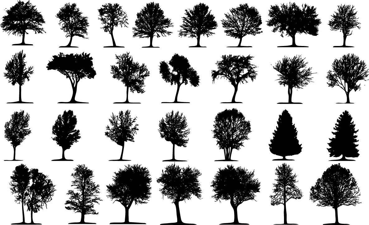 Trees silhouette png
