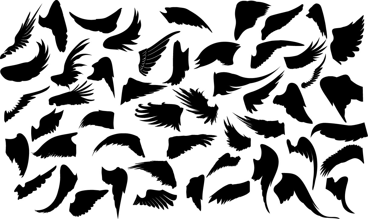 Wings silhouette png