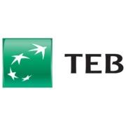 TEB Logo - Turkish Economy Bank