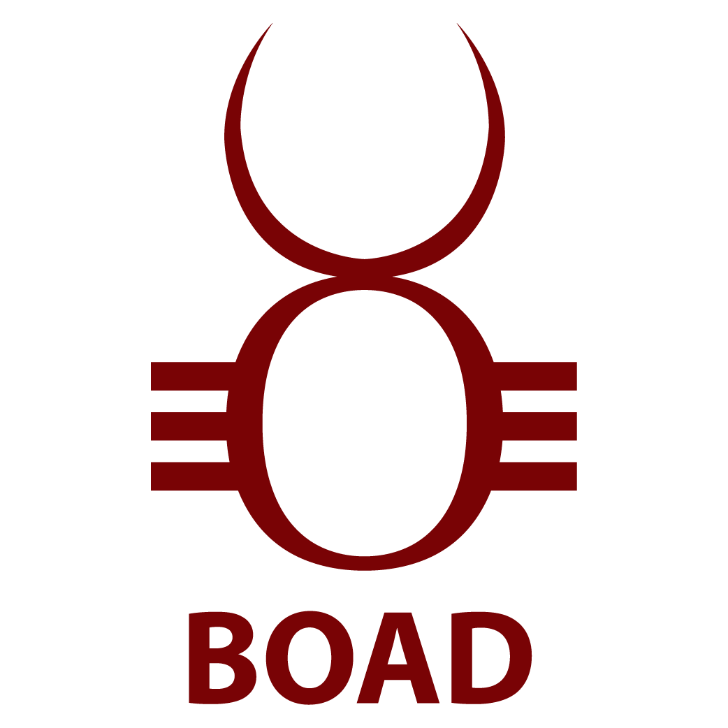 BOAD Logo   West African Development Bank png