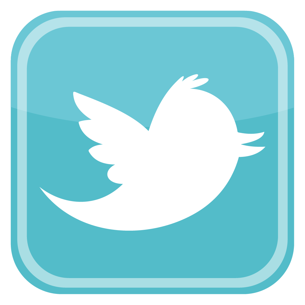 Twitter Bird Icon png