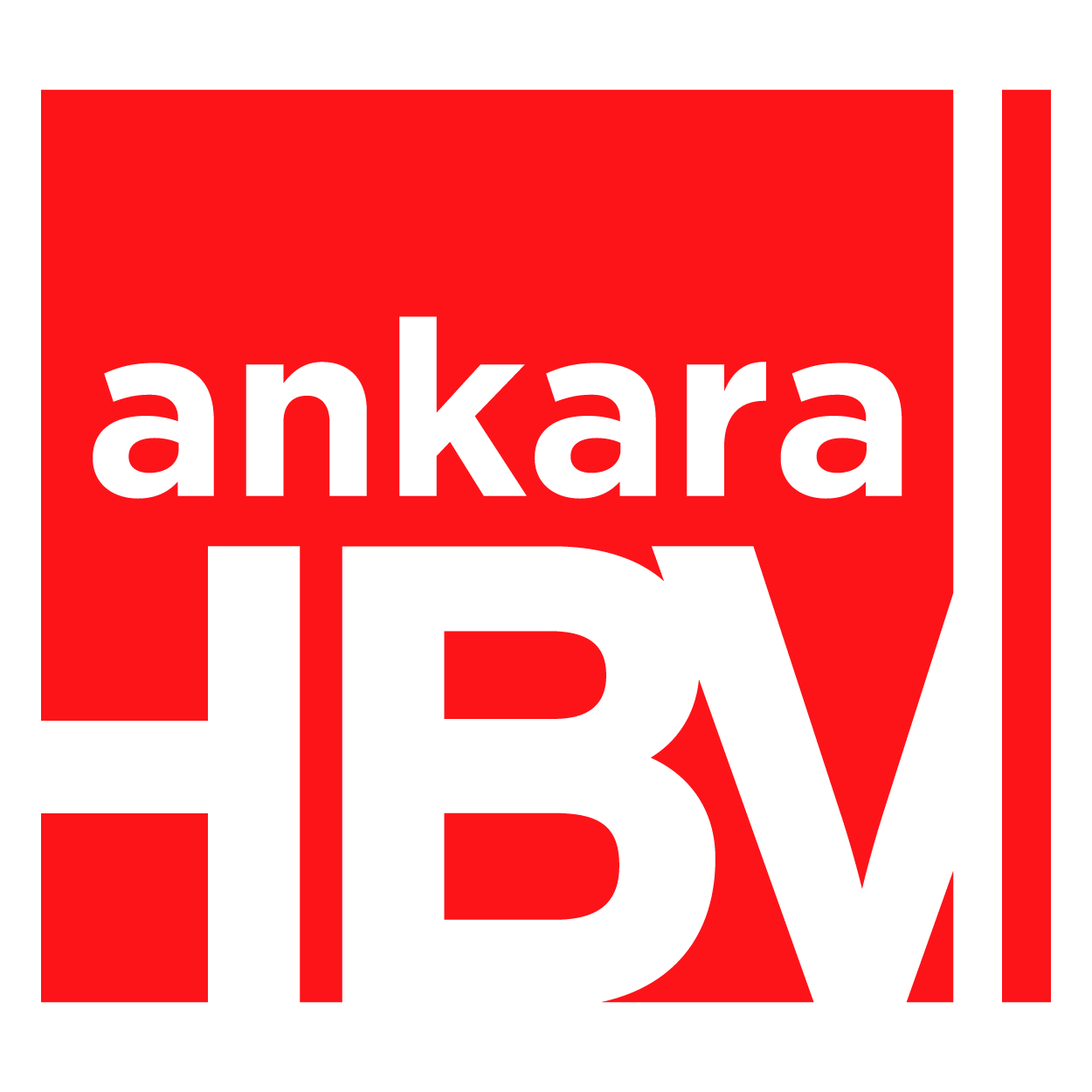 Ankara Hacı Bayram Veli Üniversitesi Logo png
