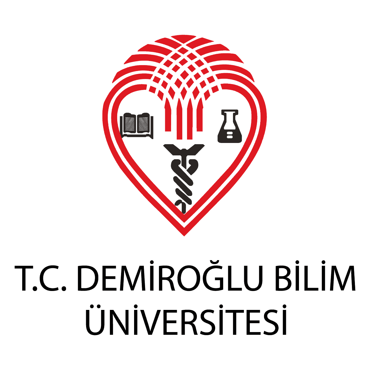 Demiroğlu Bilim Üniversitesi (İstanbul) png