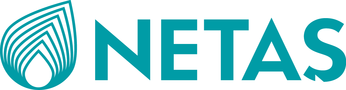 Netaş Logo png