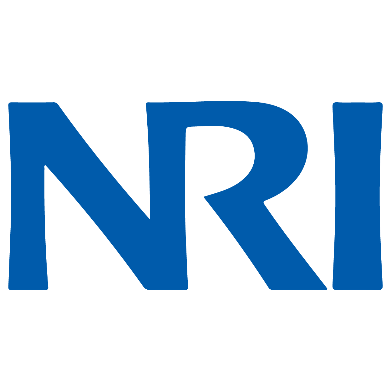 Nomura Research Institute Logo (NRI) png