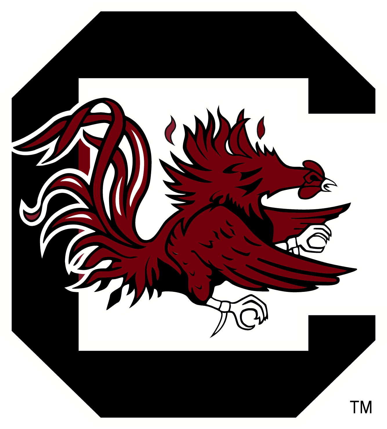 South Carolina Gamecocks Logo png