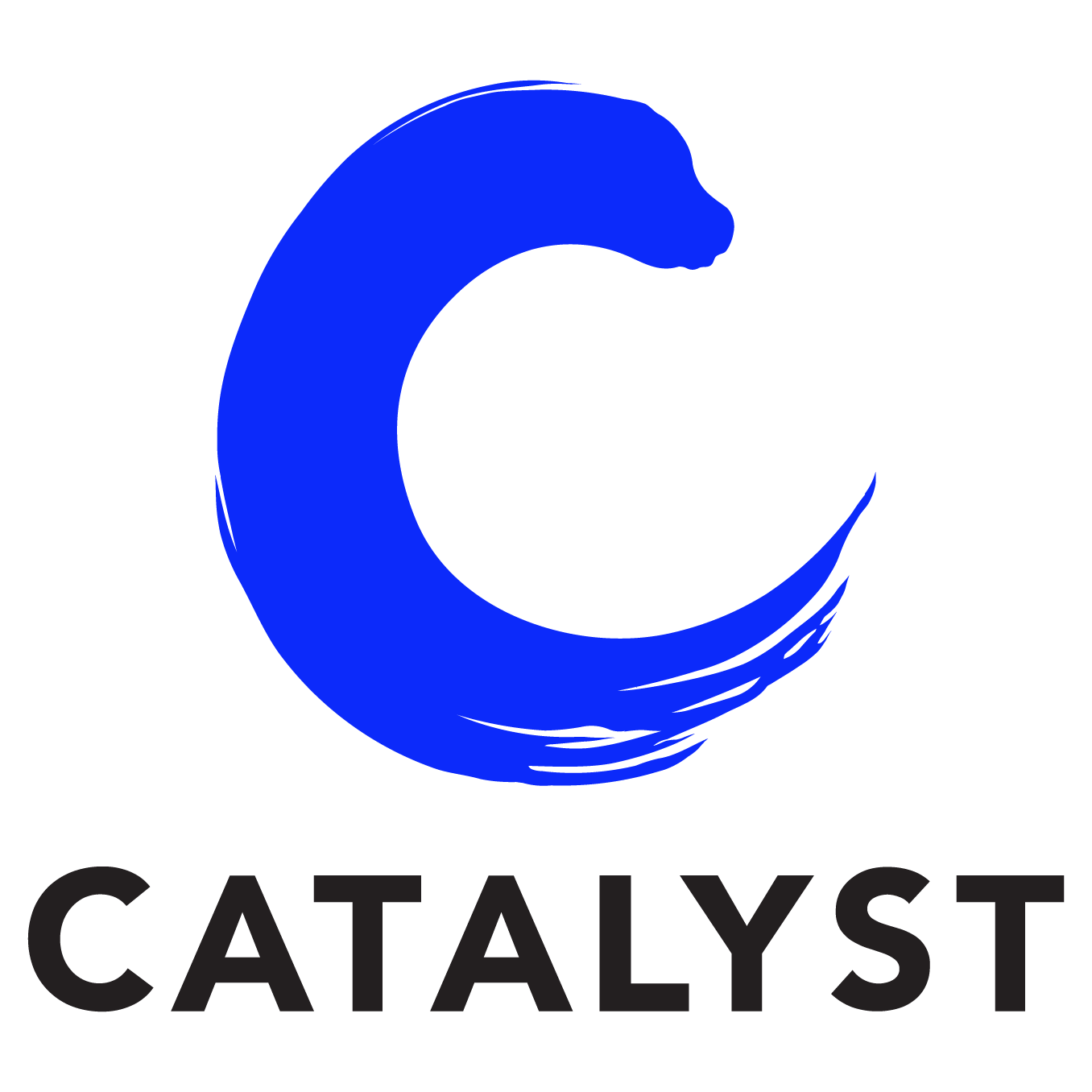 Catalyst Logo png