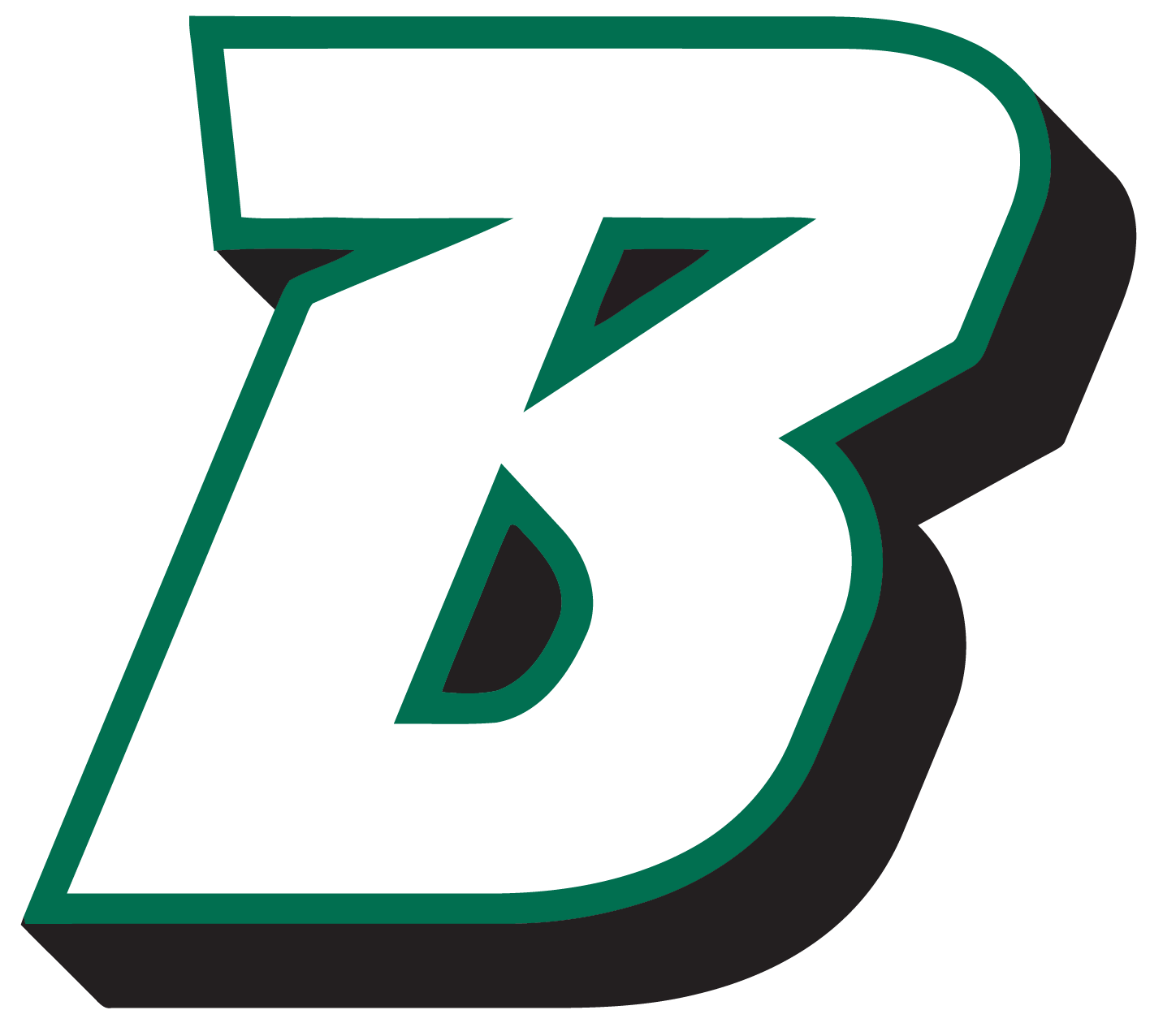 Binghamton Bearcats Logo png