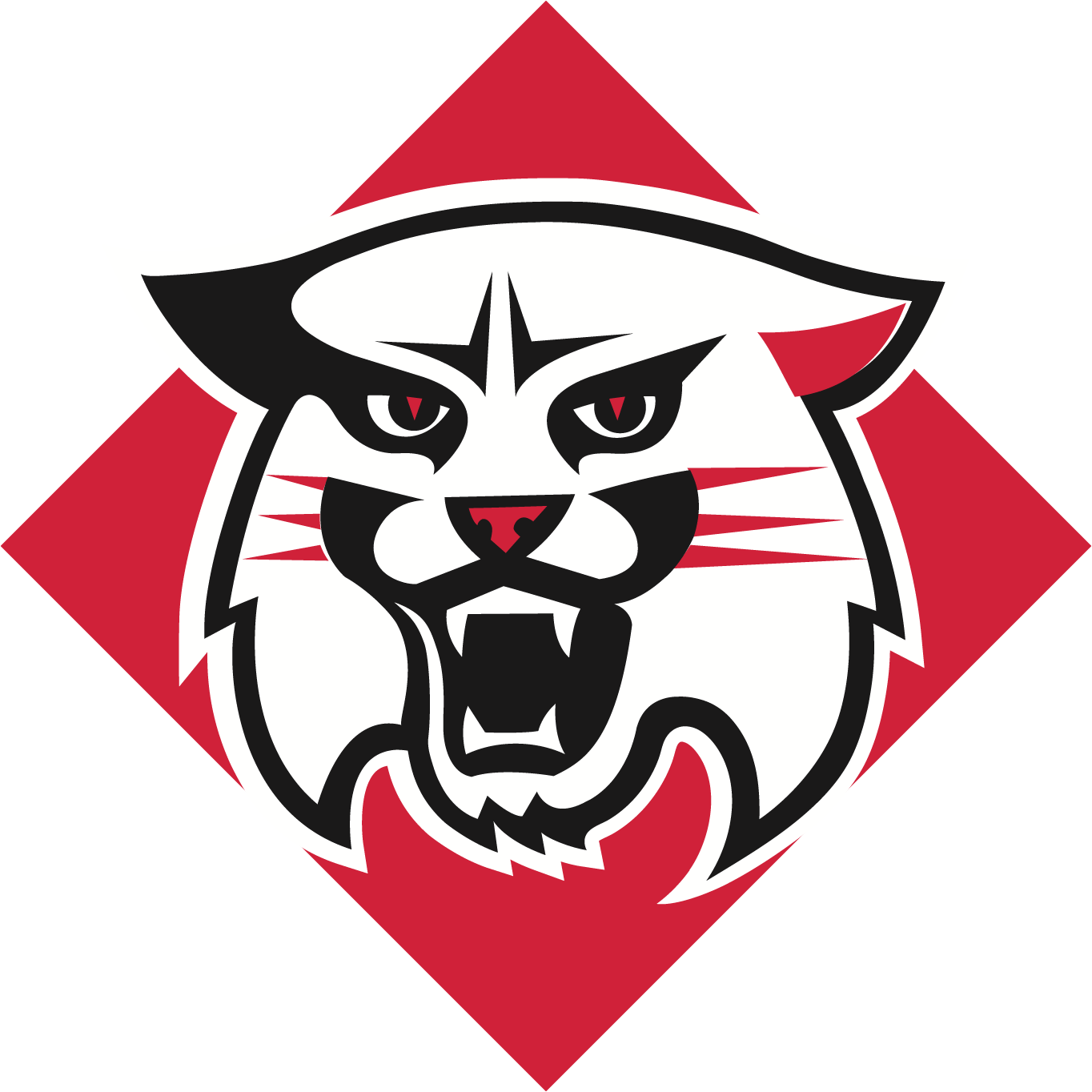 Davidson Wildcats Logo png