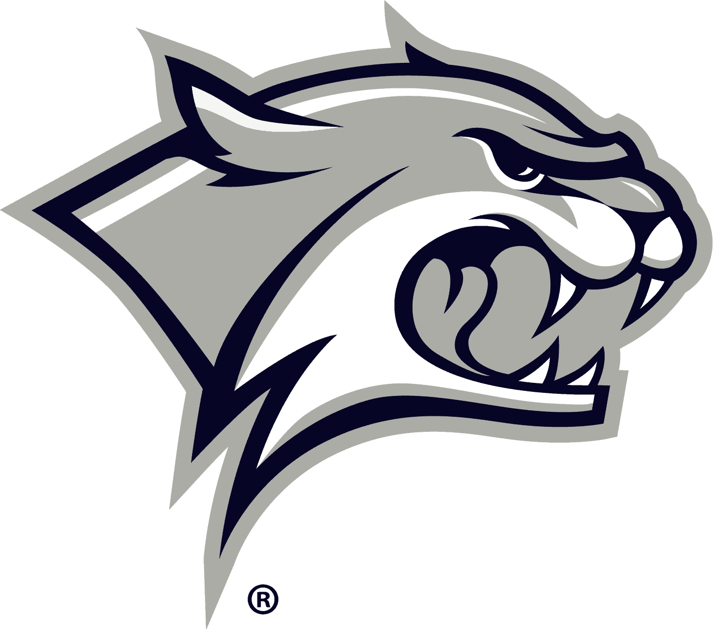 New Hampshire Wildcats Logo png