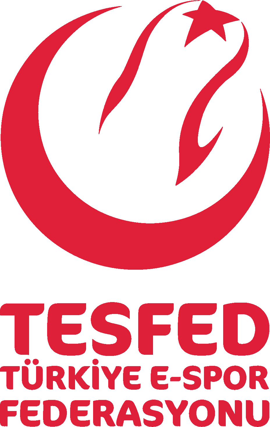 Türkiye E Spor Federasyonu Logo png