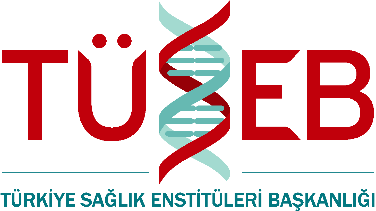 TÜSEB Logo png