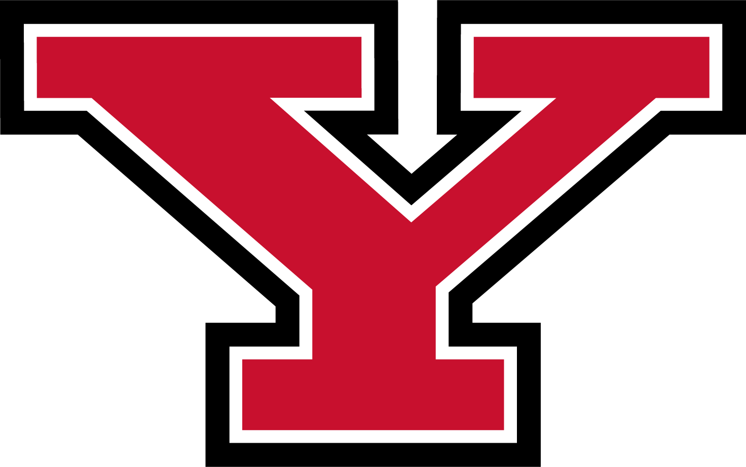Youngstown State Penguins Logo png