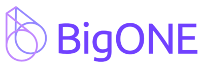 BigOne Logo png