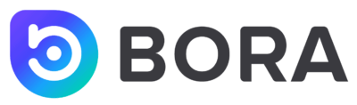 Bora Logo (Ecosystem) png