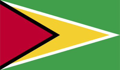 Guyana Flag png