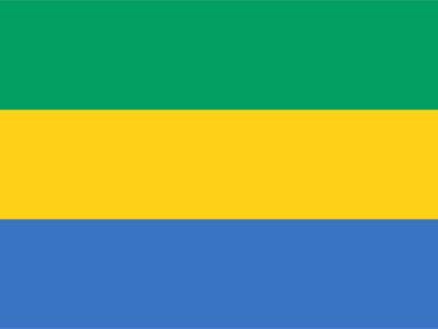 Gabon Flag and Emblem png