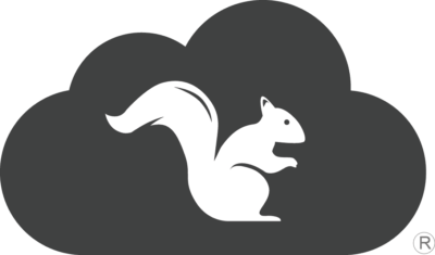 Squirrels Logo png