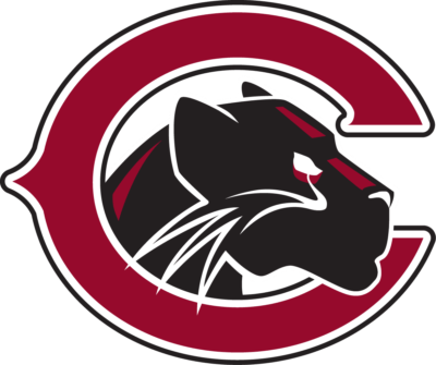 Panthers Logo png