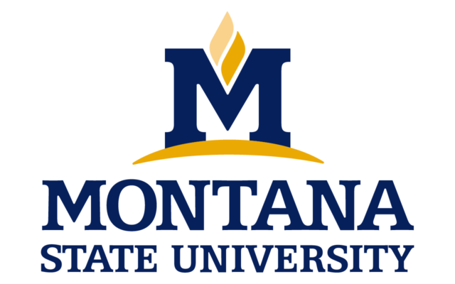 Montana State University Logo (MSU) png