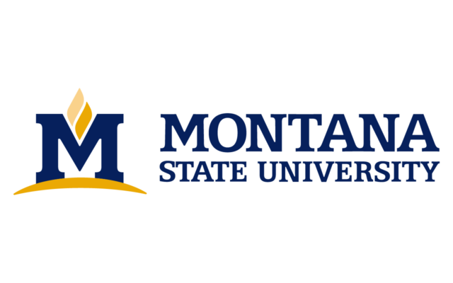Montana State University Logo (MSU | 01) png
