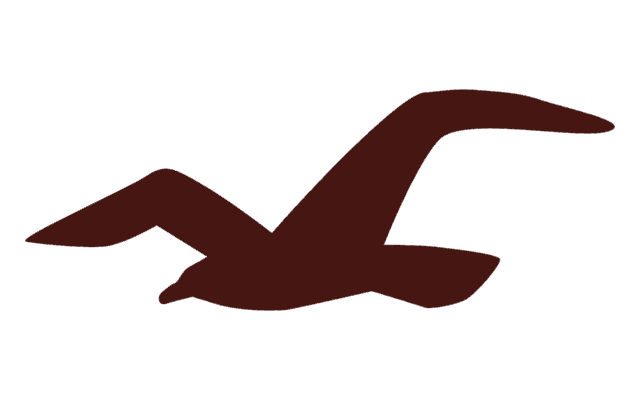 Hollister Logo | 03 png