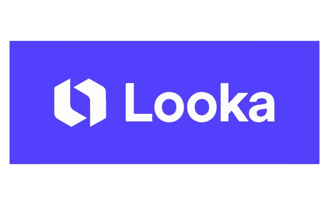 Looka Logo | 02 png