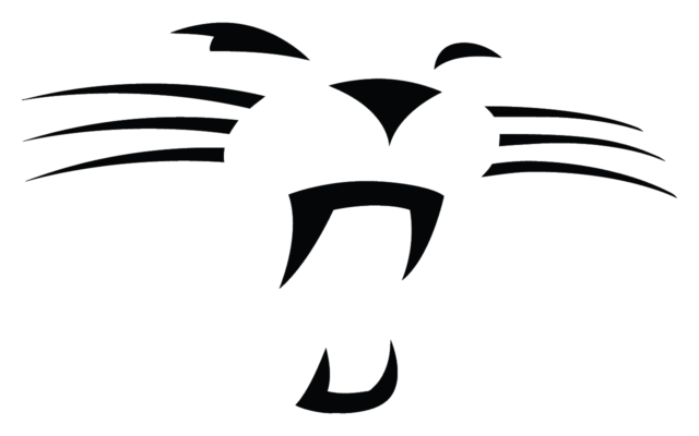 Carolina Panthers Logo | 04 png