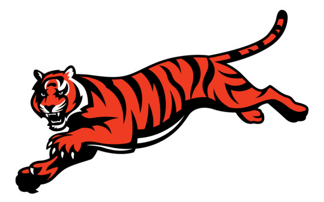 Cincinnati Bengals Logo | 04 png